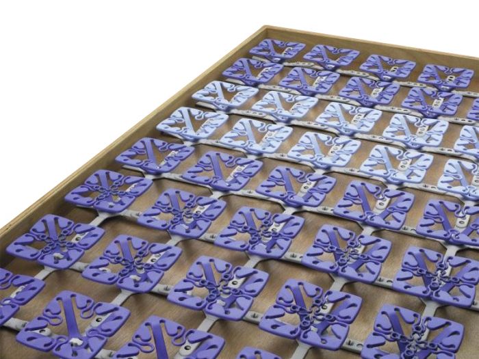 Froli StarMobil Bettsystem: Anpassbares, belüftetes Schlafsystem (120x200 cm) für Dachzelte, 4,3 cm hoch, leicht & flexibel.